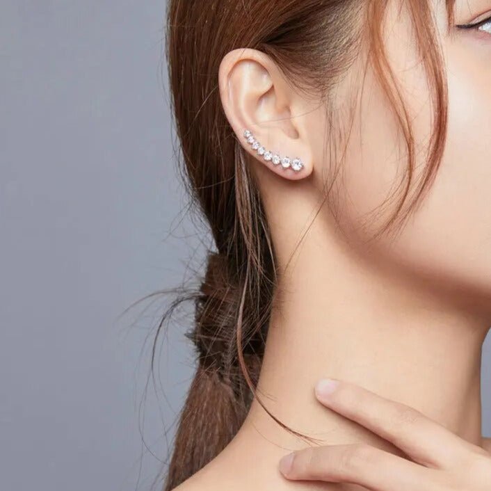 Brinco Horizonte Prata