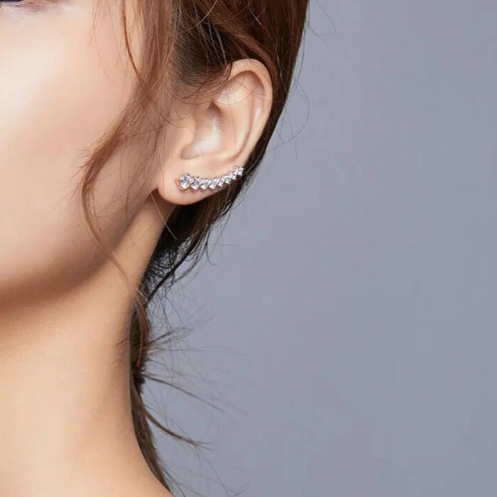 Brinco Horizonte Prata