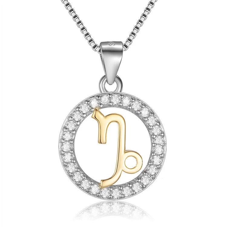 Colar Signo com Zircônia em Prata 925