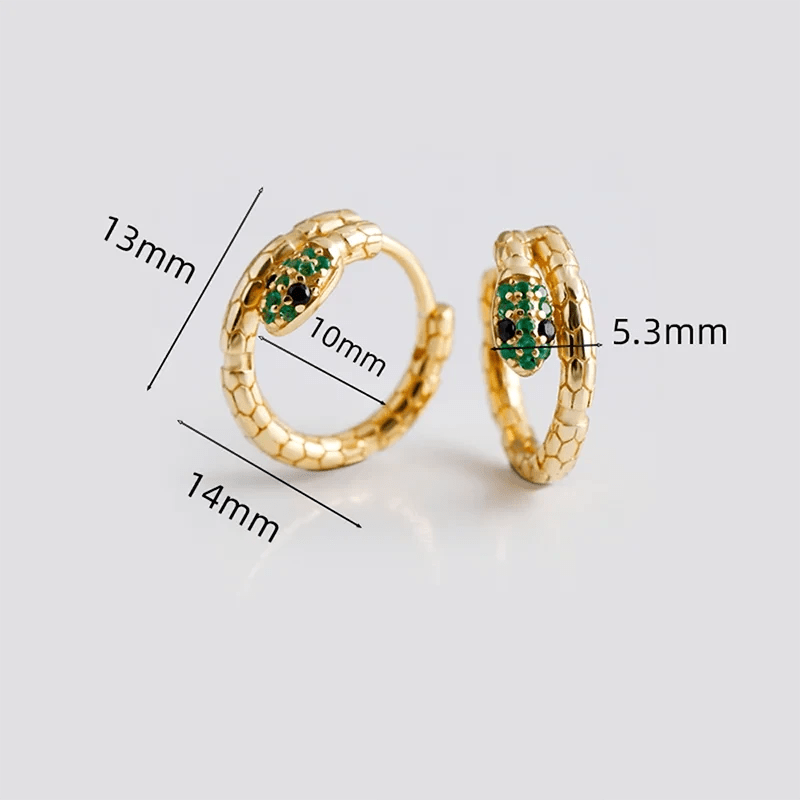 Brinco Argola Cobra em Prata 925