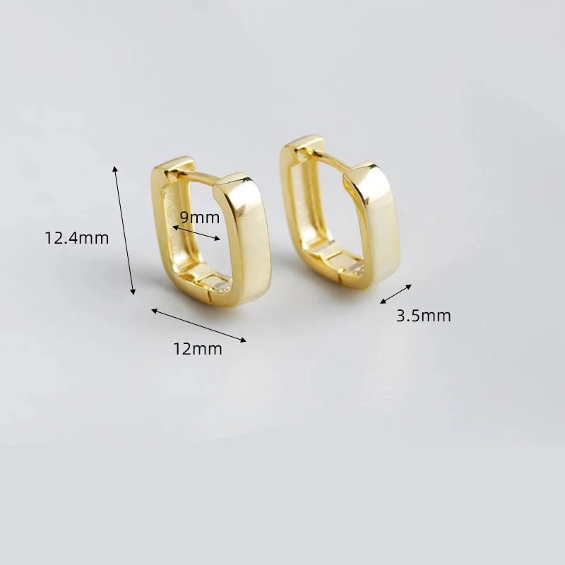 Brinco Argola Lisa em Prata 925