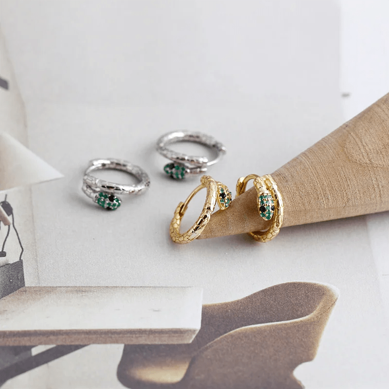 Brinco Argola Cobra em Prata 925