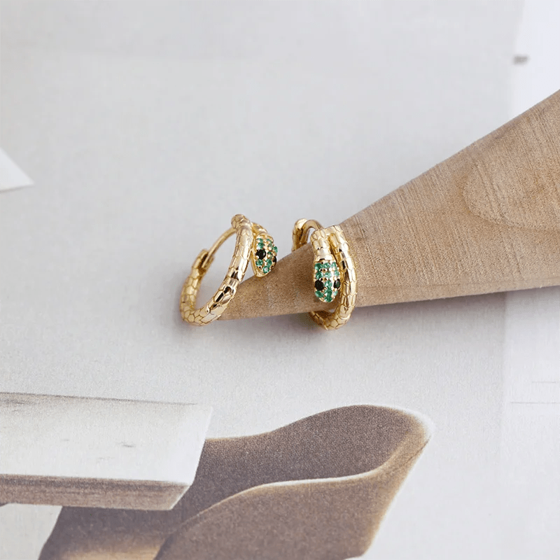 Brinco Argola Cobra em Prata 925