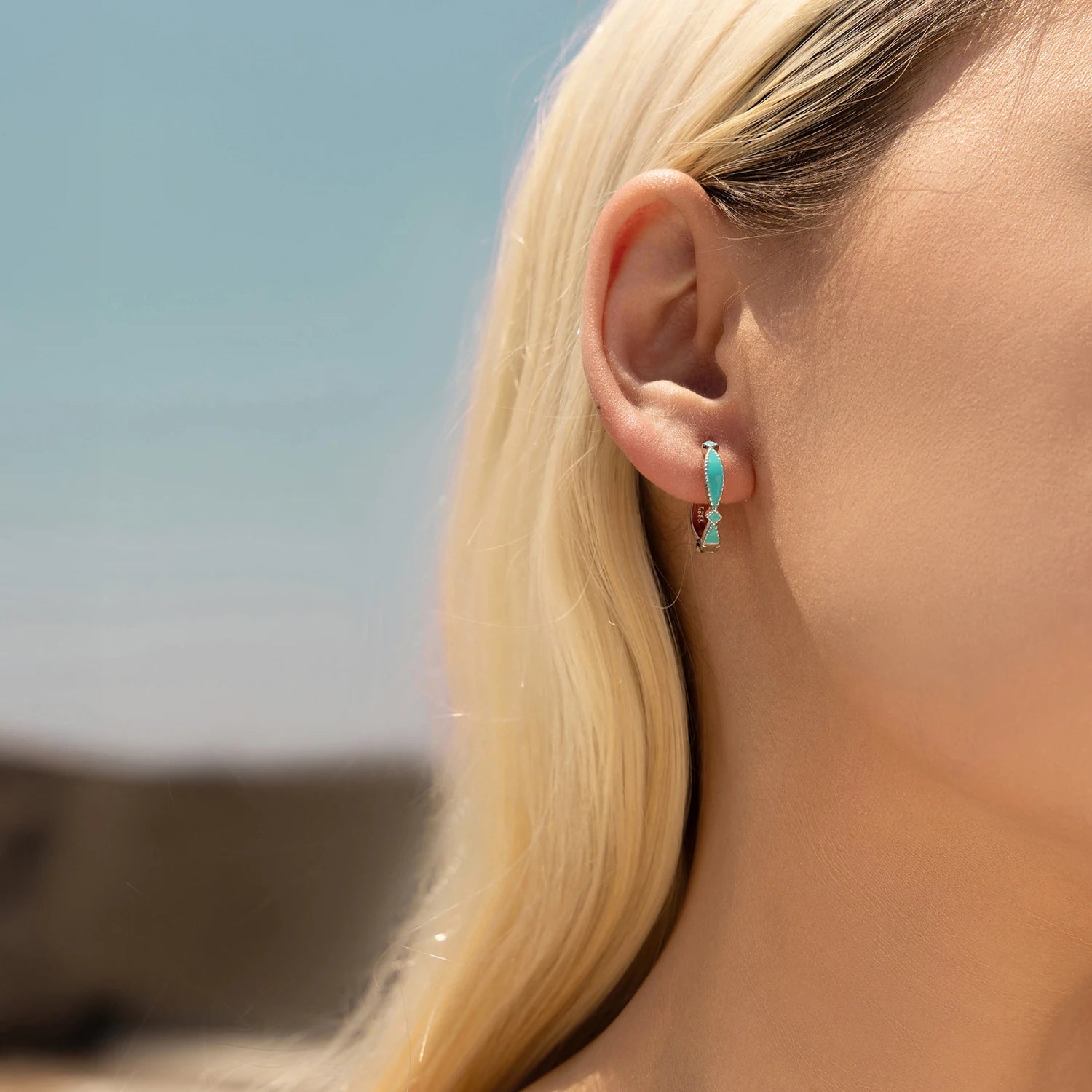 Brincos Argola Geométrica Prata 925 Feminino