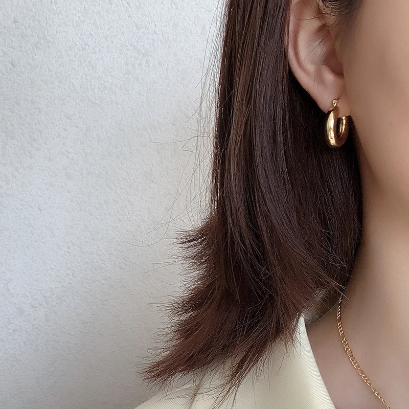 Brinco Argola Grossa de Prata 925