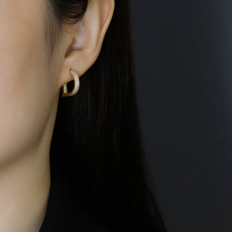 Brinco Letra D Prata 925